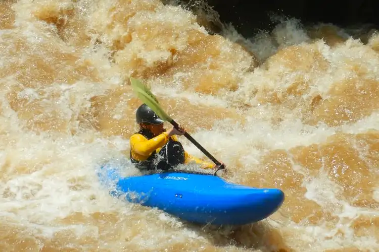 Kayak Intermedio