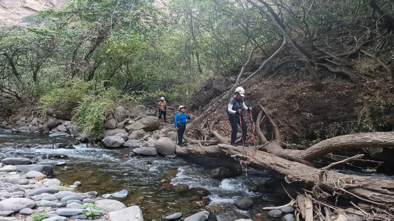 Rafting en el río Amacuzac